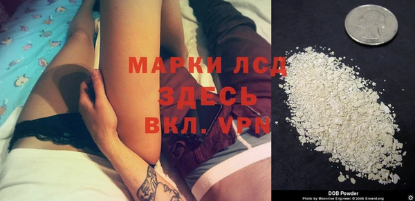 ECSTASY Болотное