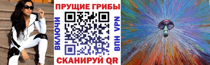 Псилоцибиновые грибы Psilocybe  darknet какой сайт  Электрогорск 