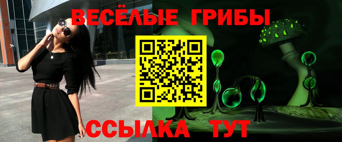 Галлюциногенные грибы GOLDEN TEACHER Электрогорск